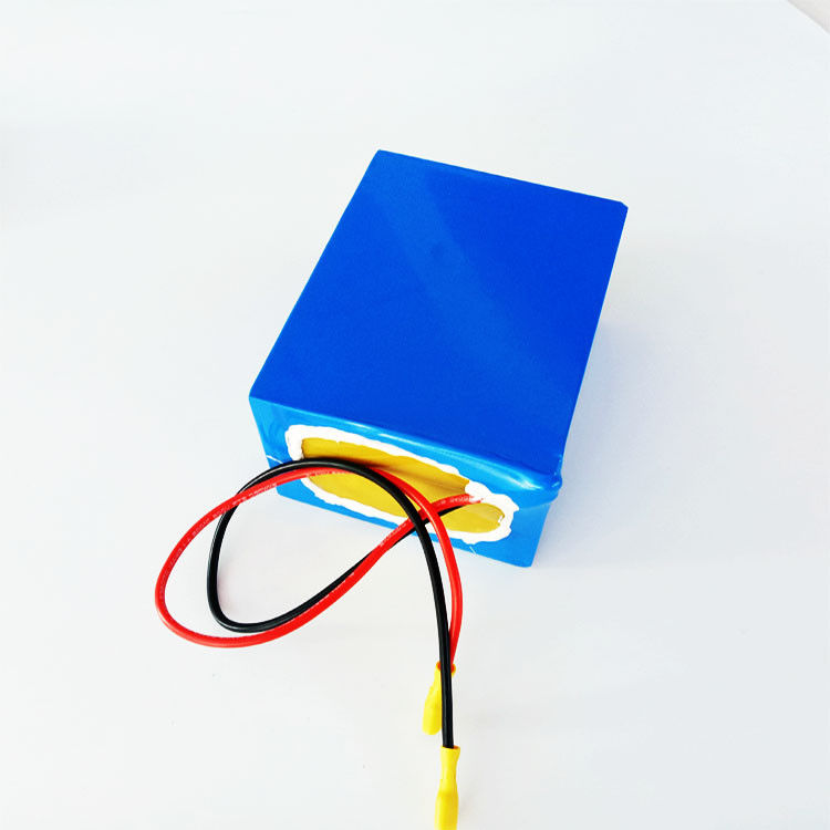 Light Weight 5AH 24V Lithium Battery Pack For POS